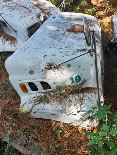 1999-2007 Sterling L7501 Hood Assembly