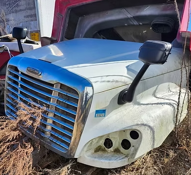 2008-2019 Freightliner CASCADIA Hood