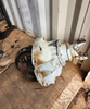 Meritor Rear Differential Assembly P/N 3200-K-1704