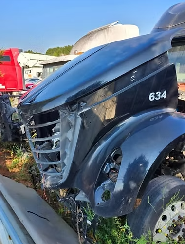 2015 International Lonestar Hood