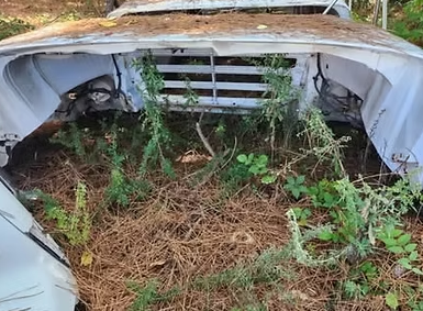 1999-2007 Sterling L7501 Hood Assembly