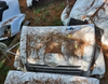1999-2007 Sterling L7501 Hood Assembly