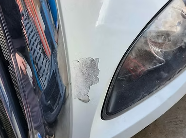2019 International PROSTAR Hood Assembly | P/N 3804154C99