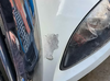2019 International PROSTAR Hood Assembly | P/N 3804154C99