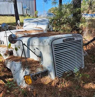 1989-2003 Freightliner FLD120 Hood