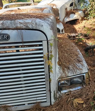 1989-2003 Freightliner FLD120 Hood