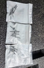 15 PCS Genuine Paccar Rivets K376-45-500