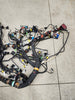 P2921389 / S92T2C13475612F643 HARNESS MAIN CAB PACCAR / PETERBILT / KENWORTH OEM