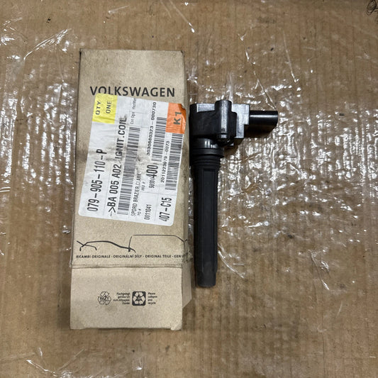 Genuine Audi / Volkswagen / VW Ignition Coil 079-905-110-P