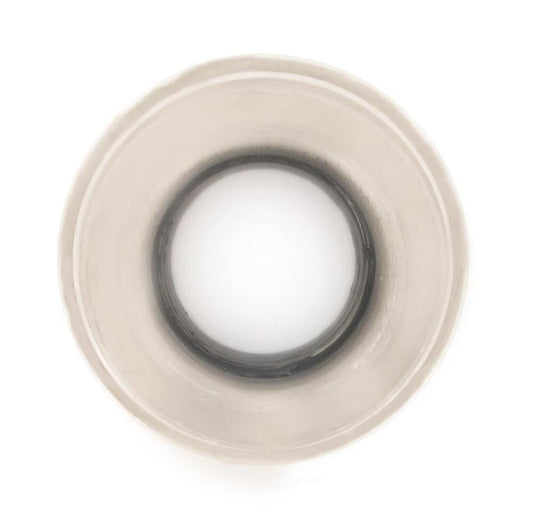 SKF N1701